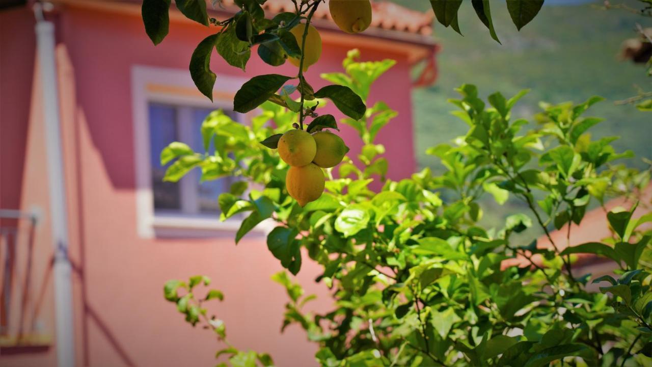 Hotel Tourist Parga Bagian luar foto